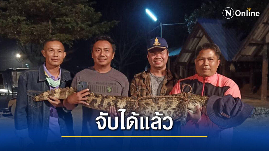 ชาวบ้านโล่งใจ ชุดไกรทองล่าจระเข้ข้ามคืนในที่สุดจับได้แล้ว