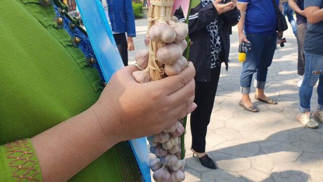MOUซื้อขายกระเทียมล่วงหน้ากก.ละ13.50บาท