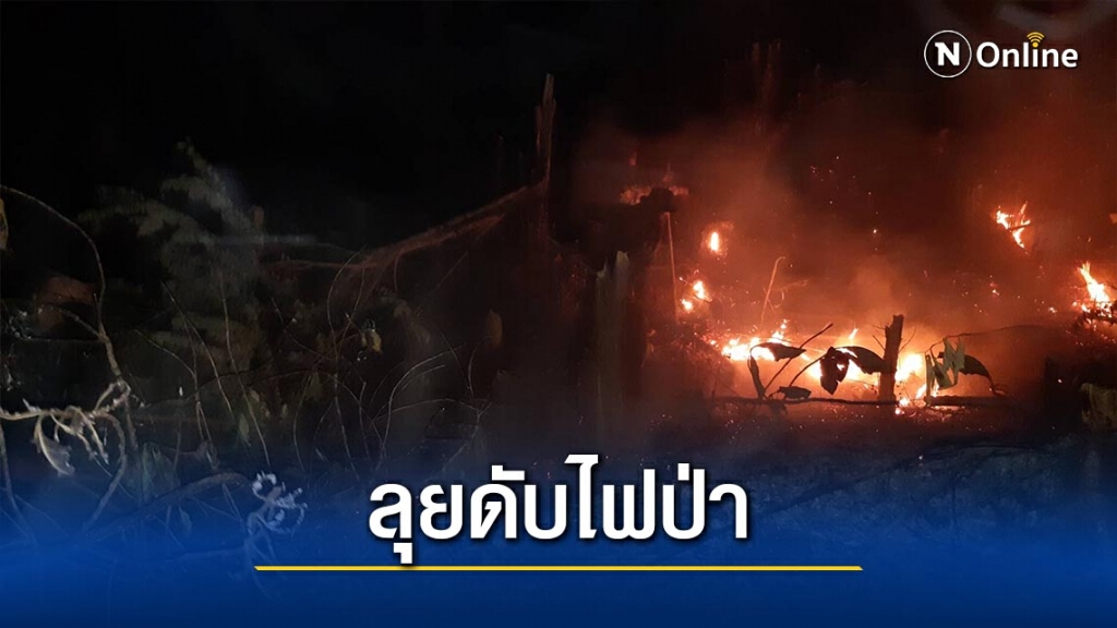 ทหาร-อบต.ปางหมูลุยดับไฟป่า ทหาร-อบต.ปางหมูลุยดับไฟป่า