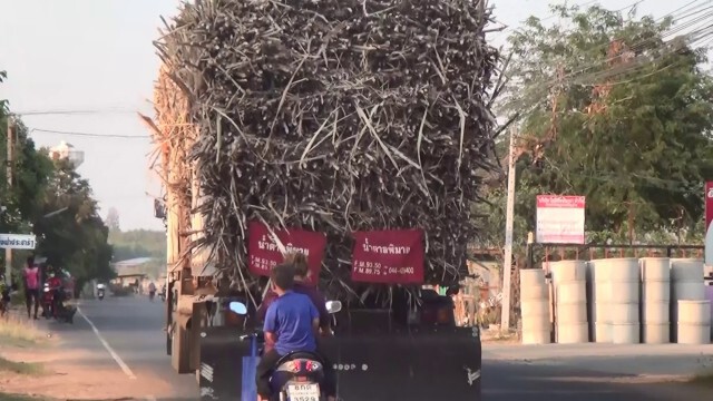 โวยรถบรรทุกอ้อย-มันหนีด่านชั่งน้ำหนักวิ่งฝ่าชุมชนทำถนนทรุด