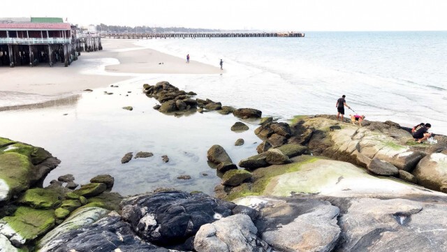 นักท่องเที่ยวแห่เซลฟี่ "ชายหาดหัวหิน" โขดหินนับร้อยก้อนโผล่ชายหาด