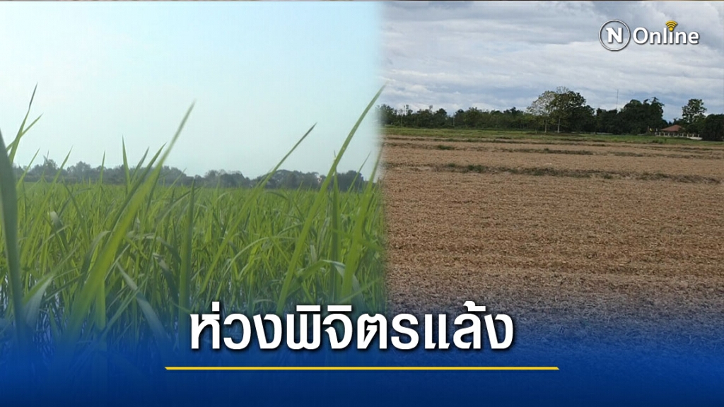 เหนือถกรับภัยแล้งชี้"พิจิตร"น่าห่วง