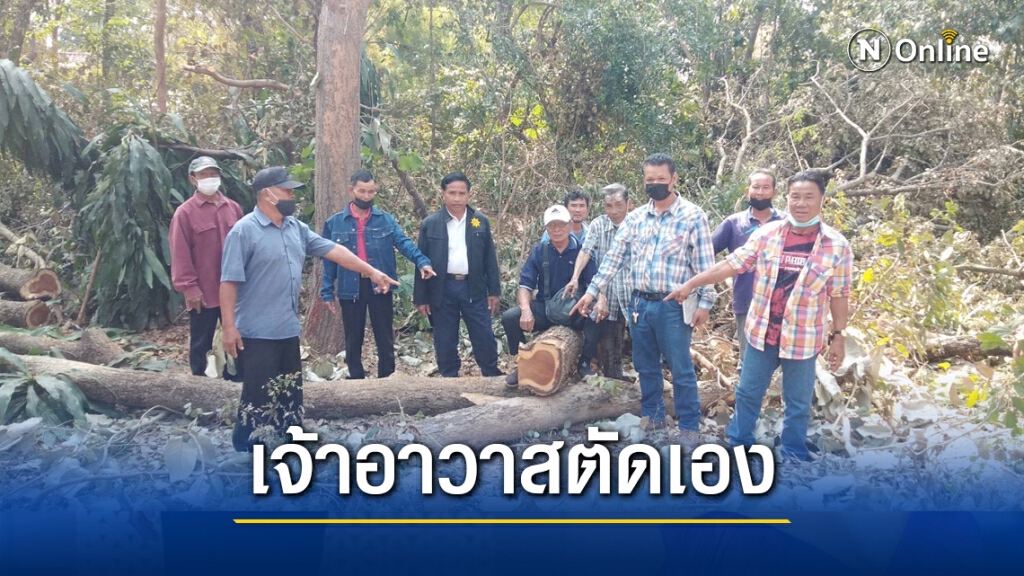 ร้องเจ้าอาวาสวัดป่า สั่งตัดไม้ประดู่ภายในวัดโดยมิชอบ ร้องเจ้าอาวาสวัดป่า สั่งตัดไม้ประดู่ภายในวัดโดยมิชอบ
