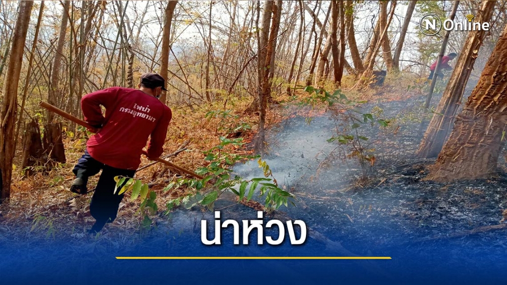"ปาย"อ่วม-ลอบเผาป่าพุ่ง "ปาย"อ่วม-ลอบเผาป่าพุ่ง