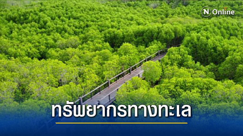 "วราวุธ" ย้ำเทคโนโลยีช่วยเสริมการทำงานทรัพยากรธรรมชาติ "วราวุธ" ย้ำเทคโนโลยีช่วยเสริมการทำงานทรัพยากรธรรมชาติ