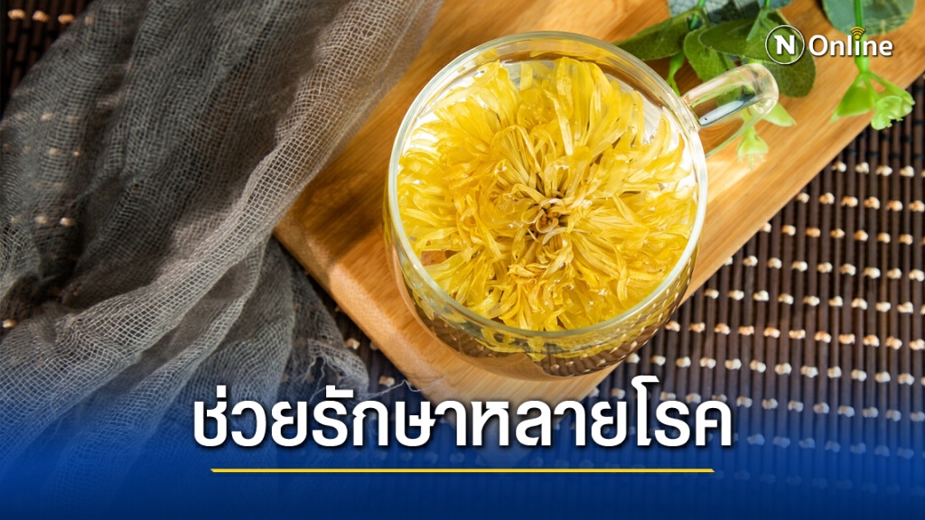 รู้หรือไม่?? "เก๊กฮวย"มีสรรพคุณเป็นยา รักษาโรคได้สารพัด