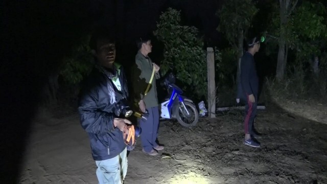 กลุ่มอนุรักษ์สัตว์ป่าฯเร่งผลักดันช้างป่าตกมันหวั่นทำร้ายปชช.