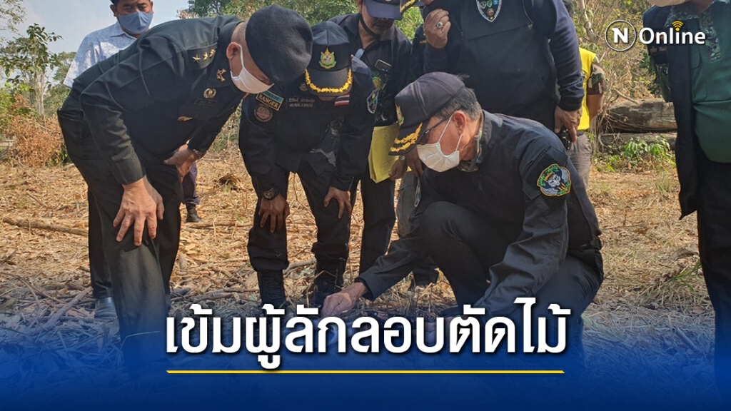 ชุดพยัคฆ์ไพร กรมป่าไม้ เข้มผู้ลักลอบตัดไม้