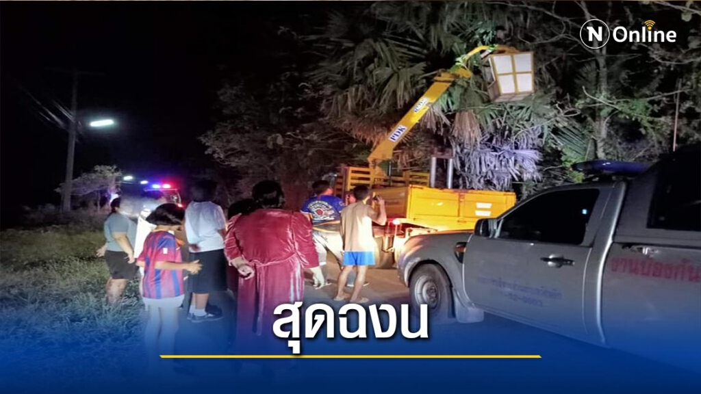 ช่วย"น้องหมา"ติดอยู่บนต้นตาลสูง 10 เมตร
