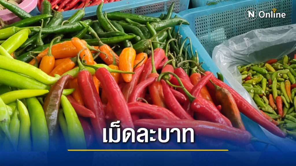 ราคาพริกตลาดย่าโมปรับขึ้นจริงแต่ไม่ใช่เม็ดละ 1 บาท ราคาพริกตลาดย่าโมปรับขึ้นจริงแต่ไม่ใช่เม็ดละ 1 บาท