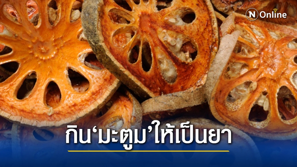 ทำความรู้จัก ประโยชน์ของ "มะตูม" ผลไม้ที่มีสรรพคุณทางยา