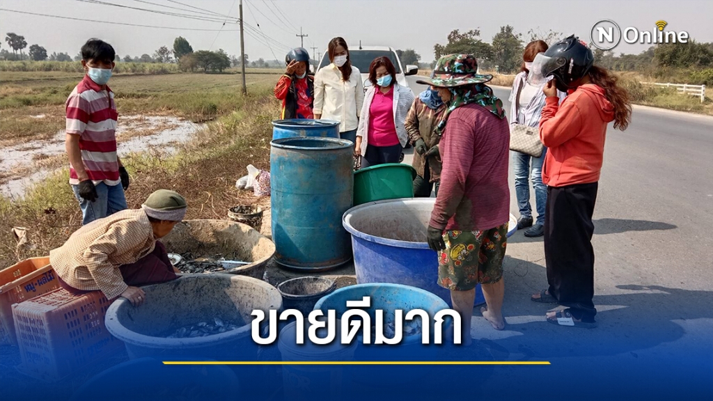 ปชช.แห่เข้าคิวซื้อปลาจากชาวนา สร้างรายได้หลังเก็บเกี่ยว