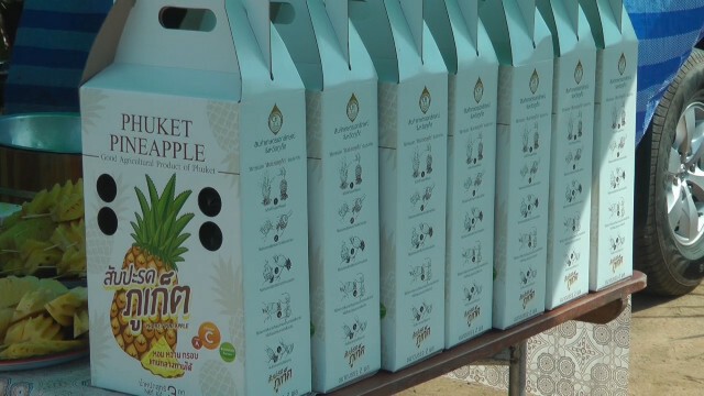 เกษตรกรปล่อย "สับปะรดภูเก็ต" สุกคาต้น หาตลาดใหม่ทดแทน
