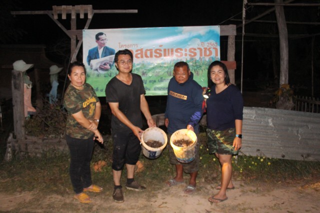 ชาวบ้านส่องไฟจับปูนาประกอบอาหาร-สร้างรายได้เสริม