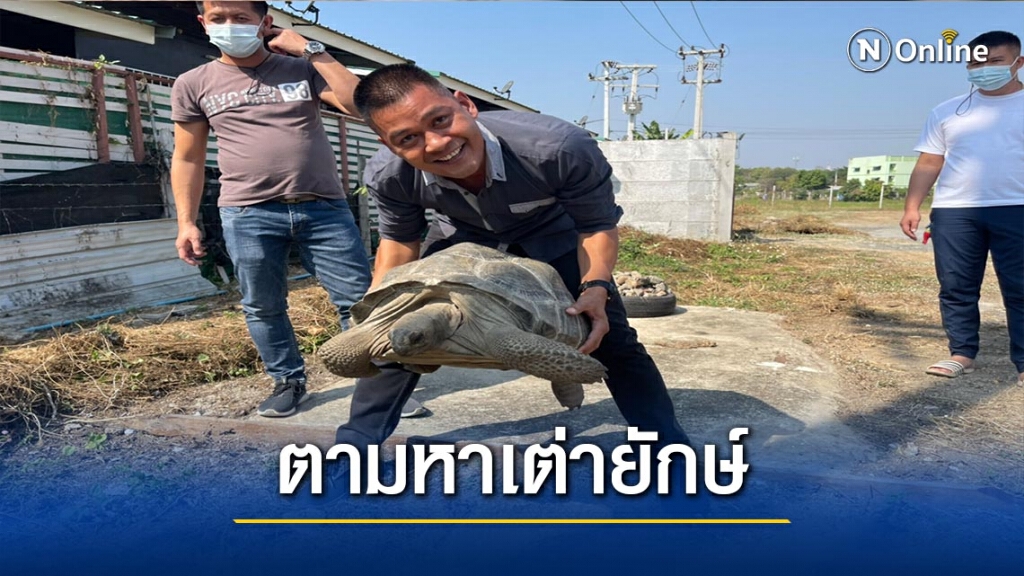 โพสต์ตามหา"เต่ายักษ์"ตัวละ 5 แสน