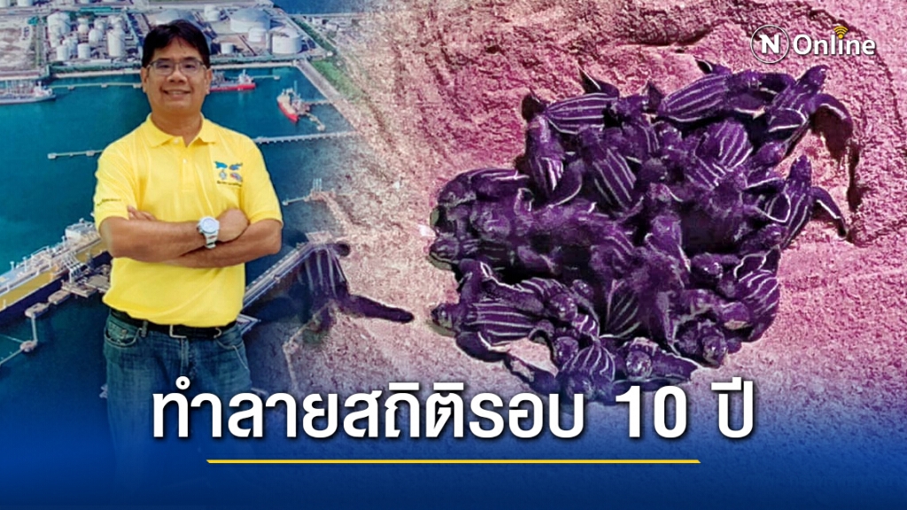 "ดร.ธรณ์" สุดปลื้ม!! "เต่ามะเฟือง" 78 ตัวถือกำเนิดแล้ว ทำลายสถิติในรอบ 10 ปี
