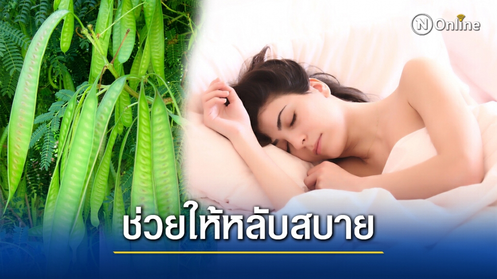 รู้หรือไม่!  "กระถิน" นอกจากเป็นอาหาร ยังเป็นยาช่วยให้หลับง่าย