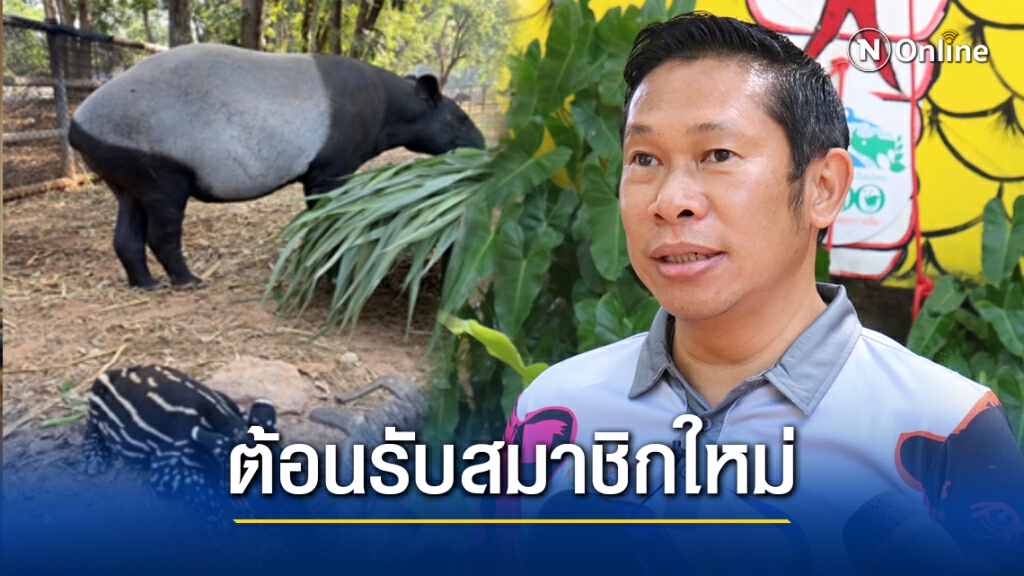 สวนสัตว์โคราช ชวนตั้งชื่อลูกสมเสร็จสัตว์ใกล้สูญพันธุ์เงินรางวัล1หมื่น