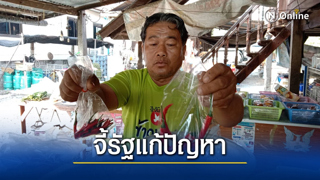 ชาวบ้านยันพริกแพงจริง ซ้ำเติมโควิด จี้รัฐเร่งแก้ปัญหา ชาวบ้านยันพริกแพงจริง ซ้ำเติมโควิด จี้รัฐเร่งแก้ปัญหา