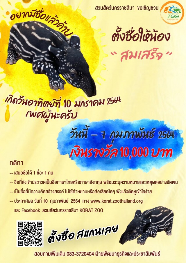 สวนสัตว์โคราช ชวนตั้งชื่อลูกสมเสร็จสัตว์ใกล้สูญพันธุ์เงินรางวัล1หมื่น