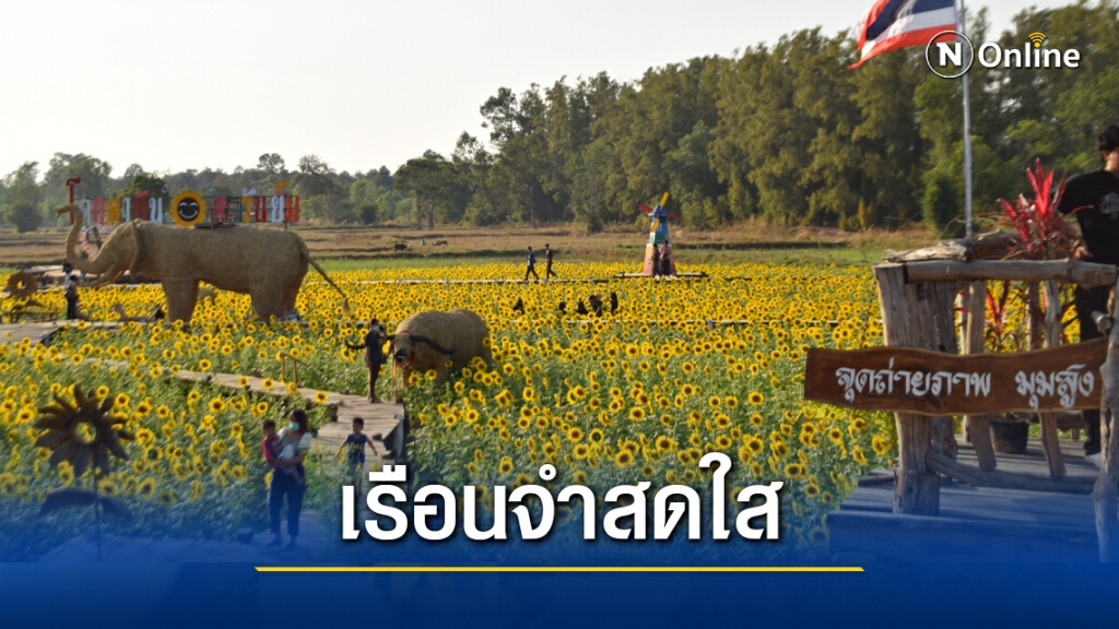 ชวนเซลฟี่ทุ่งดอกทานตะวันแลนด์มาร์คเรือนจำโคกตาบัน