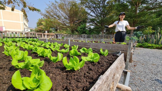 อดีตสาวแบงค์เปิดร้านกาแฟ-ผักอินทรีย์เอาใจสายสุขภาพ