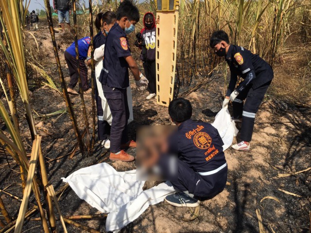 สลดเผาตอฟางลามไร่อ้อยพ่อเฒ่าลุยช่วยดับถูกไฟคลอกเสียชีวิต