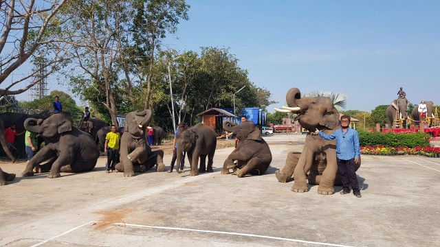 พิษโควิด!จ่อปิดตำนานหมู่บ้านคนเลี้ยงช้างบ้านค่ายหมื่นแผ้ว