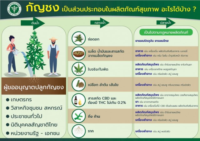 ดีเดย์! 29 ม.ค. 64 ขออนุญาตปลูกกัญชงได้แล้ว