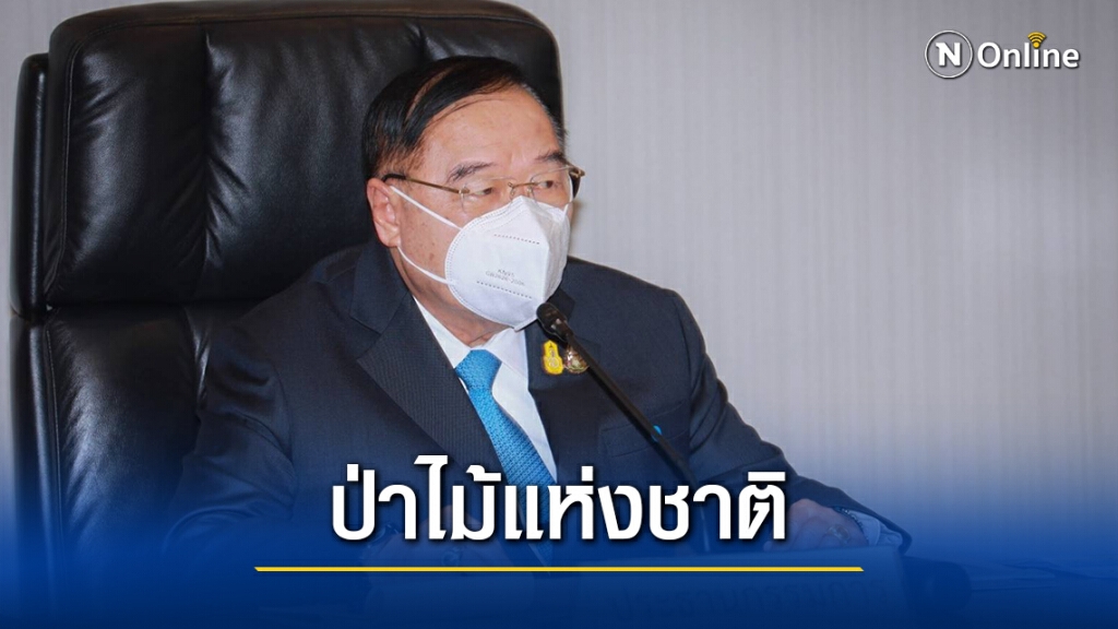 "บิ๊กป้อม"ประชุมคณะกรรมการนโยบายป่าไม้แห่งชาติ