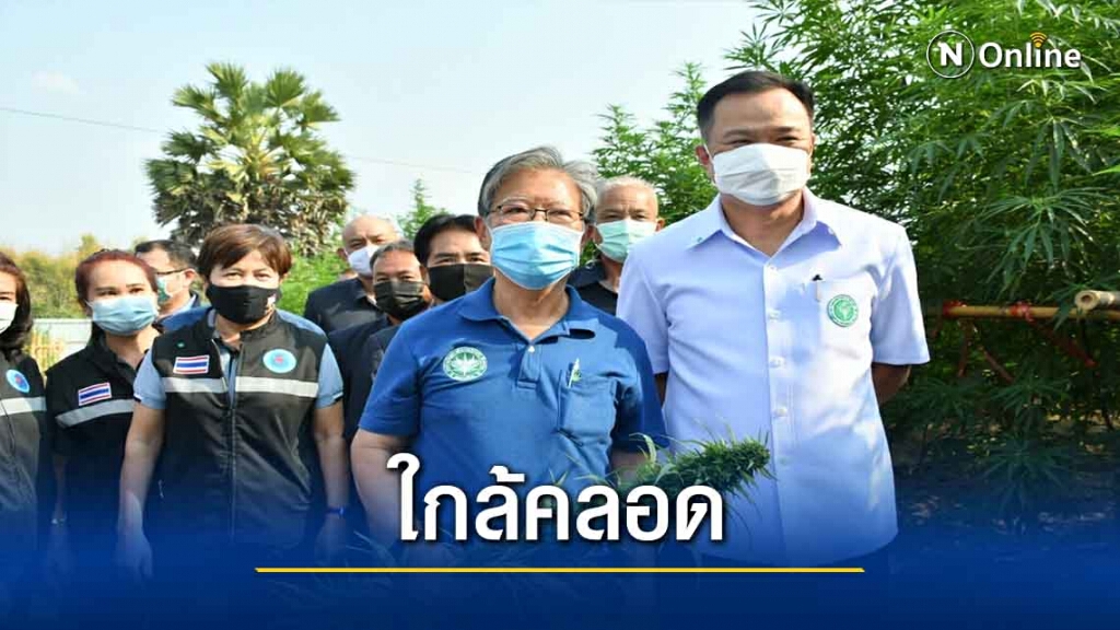 "อนุทิน"ฟุ้งนโยบายปลูกกัญชาได้ 6 ต้น ใกล้คลอด