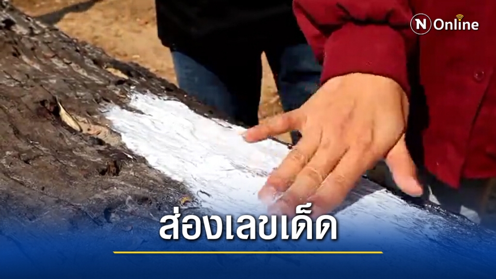 ส่องเลขเด็ดเจ้าแม่ตะเคียน สไบเงิน สไบทอง