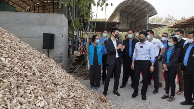 สั่งตรวจเข้มการรับซื้อมันสำปะหลัง