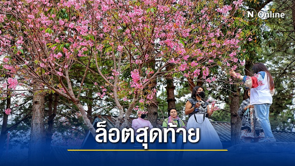 แห่ชมนางพญาเสือโคร่งล็อตสุดท้าย ที่โครงการพระราชดำริฯ