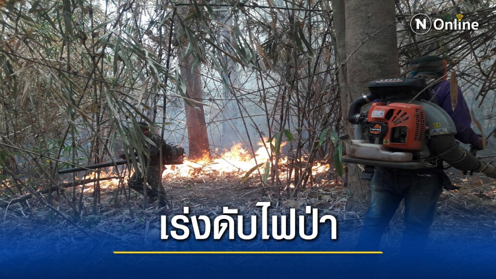 เจ้าหน้าที่ป่าไม้ เร่งดับไฟป่า ไม่เว้นวันหยุด เจ้าหน้าที่ป่าไม้ เร่งดับไฟป่า ไม่เว้นวันหยุด