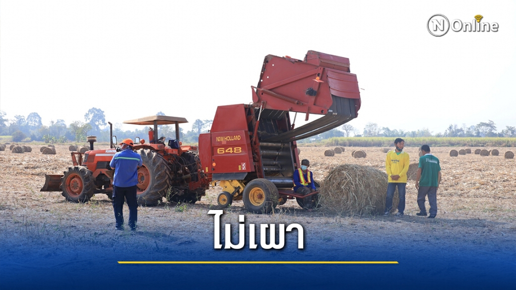 หนุนชาวไร่อ้อยใช้เครื่องจักรตัดอ้อยสดแทนการเผา ลดฝุ่นpm2.5