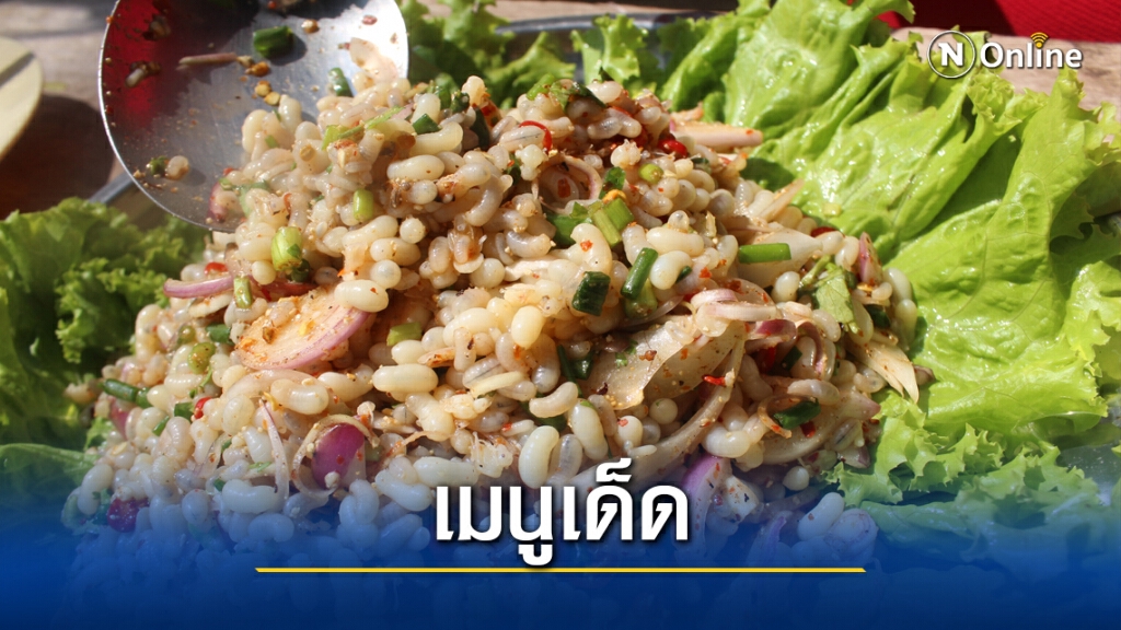 ถึงฤดูล่า ตระเวนแหย่รังไข่มดแดง