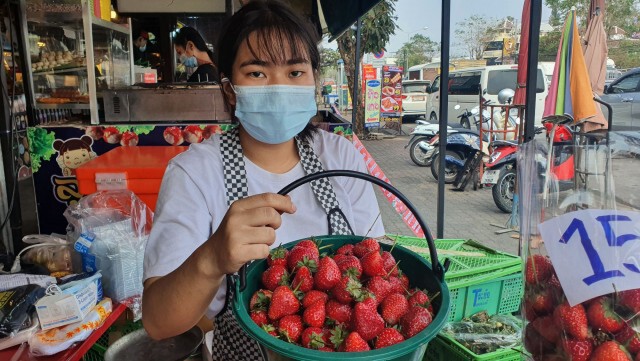 พิษโควิดกระทบเกษตกรลดปลูกสตรอเบอรี่