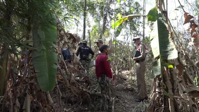 พบกระทิงเพศเมียถูกยิงตายกว่าเดือน