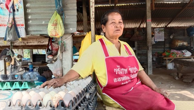 รายได้ดีเลี้ยงเป็ดไล่ทุ่งเก็บไข่ขายสลับทำนา