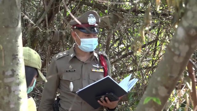 พบกระทิงเพศเมียถูกยิงตายกว่าเดือน