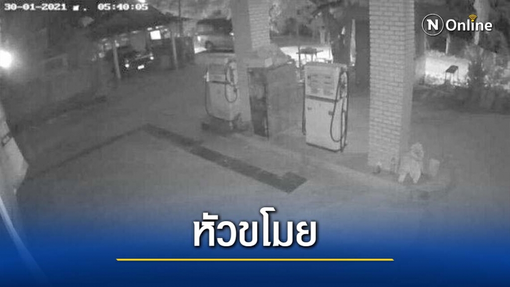 เปิดคลิปย่องขโมย"ฟักเขียว" เปิดคลิปย่องขโมย"ฟักเขียว"
