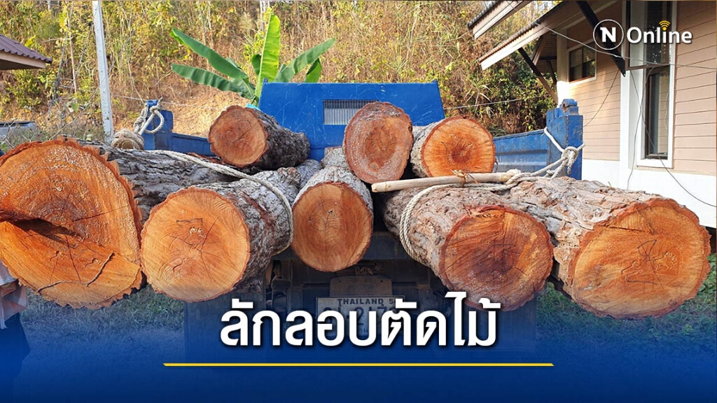 รวบหนุ่มน่านลอบตัด-ชักลากไม้