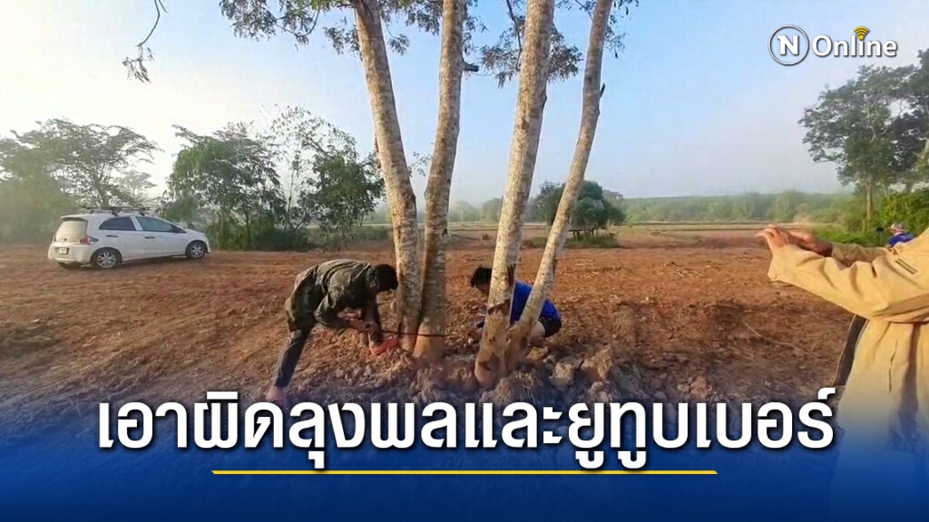 เตรียมแจ้งข้อกล่าวหาลุงพลตัดไม้พร้อมเหล่ายูทูบเบอร์พรุ่งนี้ เตรียมแจ้งข้อกล่าวหาลุงพลตัดไม้พร้อมเหล่ายูทูบเบอร์พรุ่งนี้