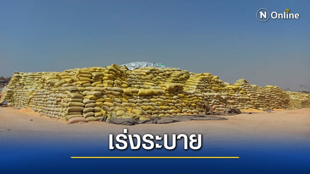 เอกชนเร่งระบายข้าวโพด-ไม่มั่นใจการเมืองพม่า เอกชนเร่งระบายข้าวโพด-ไม่มั่นใจการเมืองพม่า