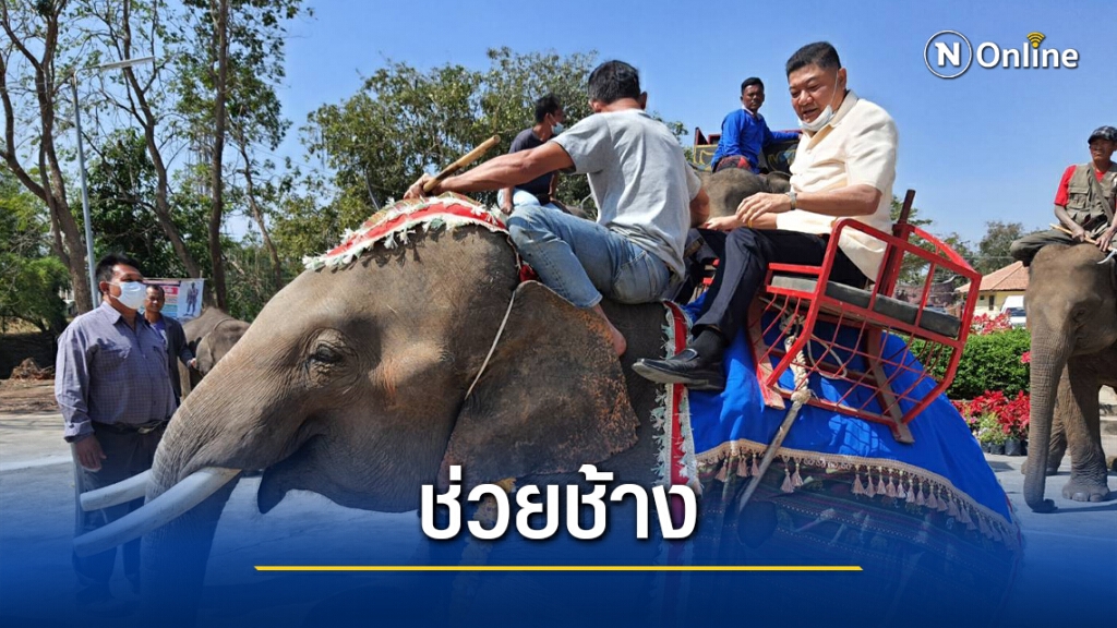 ชาวบ้านค่ายหมื่นแผ้วชวนเที่ยวจดทะเบียนบนหลังช้าง