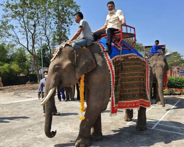ชาวบ้านค่ายหมื่นแผ้วชวนเที่ยวจดทะเบียนบนหลังช้าง