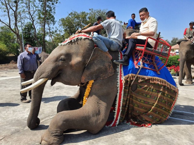 ชาวบ้านค่ายหมื่นแผ้วชวนเที่ยวจดทะเบียนบนหลังช้าง