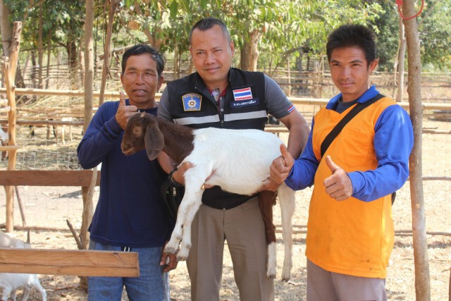 "เราไม่ทิ้งกัน" เริ่มเห็นผล ชาวบ้านนำเงินต่อยอดเลี้ยงแพะ