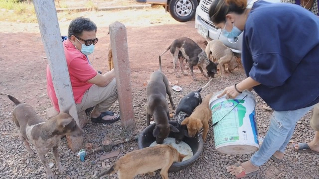 คนใจร้ายวางเบ็ดให้หมากินเหยื่อ